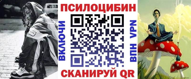 Купить  Ртищево  Псилоцибиновые грибы Psilocybine cubensis 
