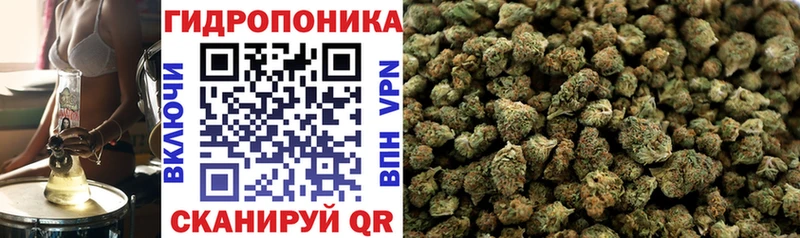 Купить закладки  Ртищево  Бошки марихуана THC 21% 